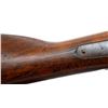 Image 16 : CANADIAN PEABODY MARTINI | Model: 1866 | Caliber: .50-60 RF