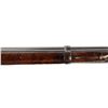 Image 20 : CANADIAN PEABODY MARTINI | Model: 1866 | Caliber: .50-60 RF