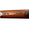 Image 22 : GERMAN MAUSER | Model: 71 Carbine | Caliber: .43 MAUSER