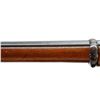 Image 9 : BRITISH MARTINI HENRY | Model: MKIII Commercial Presentation | Caliber: .577-450