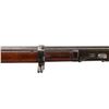 Image 16 : US SPRINGFIELD | Model: 1884 Trapdoor | Caliber: .45-70 GOVT