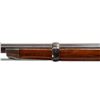 Image 10 : WARD BURTON US | Model: 1871 Trials Rifle | Caliber: .45 BOTTLENECK