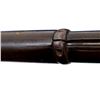 Image 24 : SNIDER ENFIELD | Model: MKII** Sargant's 42/277 | Caliber: .577 SNIDER
