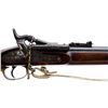 Image 3 : SNIDER ENFIELD | Model: MKI* Three Band DC 8/151  | Caliber: .577 SNIDER