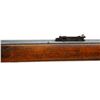 Image 16 : MARTINI HENRY | Model: MKIII | Caliber: .577-450