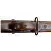 Image 22 : MARTINI HENRY | Model: MKIII | Caliber: .577-450