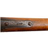 Image 23 : MARTINI HENRY | Model: MKIII | Caliber: .577-450