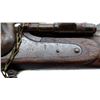 Image 17 : SNIDER ENFIELD | Model: MKII** Three Band | Caliber: .577 SNIDER