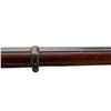 Image 19 : SNIDER ENFIELD | Model: MKII** Three Band | Caliber: .577 SNIDER