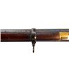 Image 20 : SNIDER ENFIELD | Model: MKII** Three Band | Caliber: .577 SNIDER