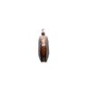 Image 12 : UNKNOWN BELGIAN | Model: Cannon Barrel Pocket | Caliber: .46 CAL