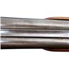 Image 13 : W.W. GREENER | Model: Side By Side Hammerless | Caliber: 12 G X 2 3/4"