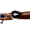 Image 14 : REMINGTON BRAZIL | Model: 525 | Caliber: .22 LR