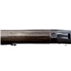 Image 11 : UNKNOWN BELGIAN | Model: Little Gem | Caliber: 410 G X 3"