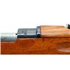 Image 15 : SWEDISH MAUSER | Model: 1896 | Caliber: 6.5 X 55