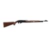Image 1 : REMINGTON | Model: Nylon 66 | Caliber: .22 LR