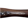 Image 13 : A.H FOX  | Model: Sterlingworth Hammerless | Caliber: 12 G X 2 3/4"