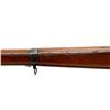 Image 11 : SWISS SCHMIDT RUBIN | Model: 1889 | Caliber: 7.5 X 53.5 SWISS