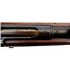 Image 19 : SWISS SCHMIDT RUBIN | Model: 1889 | Caliber: 7.5 X 53.5 SWISS