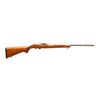 Image 1 : RUGER | Model: 10/22 Custom | Caliber: .22 LR