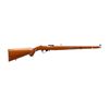 Image 1 : RUGER | Model: 10/22 International | Caliber: .22 LR