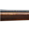 Image 10 : STEVENS ATA TURKEY | Model: 334 | Caliber: .243 WIN