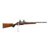 Image 1 : STEVENS ATA TURKEY | Model: 334 | Caliber: .243 WIN
