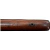 Image 18 : BRITISH ENFIELD | Model: P14 Sporter | Caliber: .303 BR