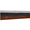 Image 12 : UNKNOWN GERMAN SUHL | Model: Side By Side Hammerless | Caliber: 12 G X 2 3/4"