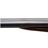Image 8 : C. ROSSON & SON | Model: Side By Side Hammerless | Caliber: 12 G X 2 3/4"
