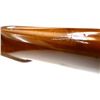 Image 14 : ANGELO ZOLI | Model: Side By Side Hammer Gun | Caliber: 12 G X 3"