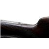 Image 13 : WITTENER FRANKFORD GERMANY | Model: Custom Side By Side | Caliber: 12 G X 2 3/4"