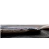 Image 14 : WITTENER FRANKFORD GERMANY | Model: Custom Side By Side | Caliber: 12 G X 2 3/4"