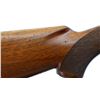 Image 10 : WINCHESTER | Model: 101 XTR | Caliber: 12 G X 3"
