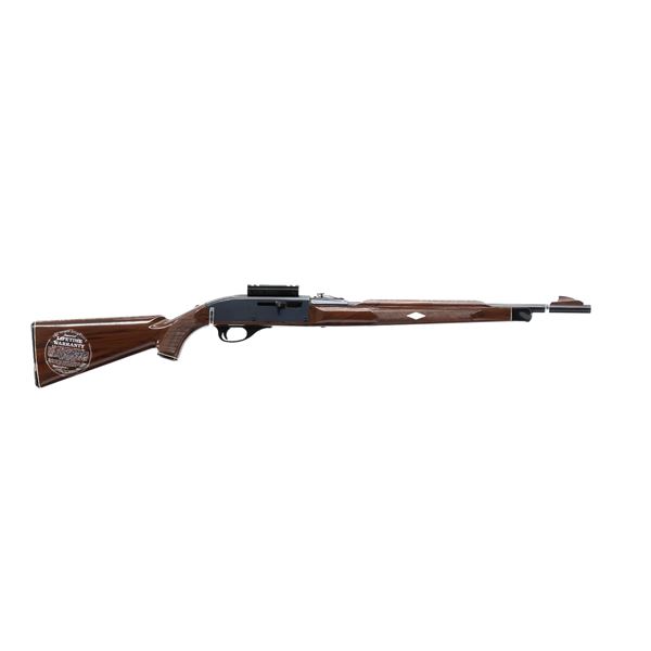 REMINGTON | Model: Nylon 66 | Caliber: .22 LR