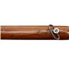 Image 19 : LEE ENFIELD LONG BRANCH | Model: NO4 MKI* T Sporter | Caliber: .303 BR