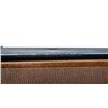 Image 10 : SAVAGE | Model: 10 | Caliber: .223 REM