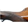 Image 11 : BAYARD BELGIAN | Model: Hammerless | Caliber: 16 G X 2 3/4"