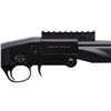 Image 3 : CHARLES DALY | Model: CD 101 | Caliber: 410 G X 3"