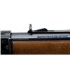 Image 10 : CHIAPPA | Model: LA322 Bandit Takedown | Caliber: .22 LR