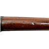 Image 22 : EGYPTIAN SAFN | Model: 49 | Caliber: 8MM MAUSER