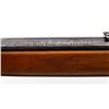 Image 8 : MARLIN JM | Model: 444 | Caliber: .444 MARLIN