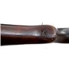 Image 22 : SPRINGFIELD ARMORY ITALY | Model: Tipo Garand T2 | Caliber: 7.62N