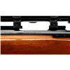 Image 8 : REMINGTON | Model: 40-XB | Caliber: .243 WIN