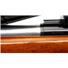 Image 9 : REMINGTON | Model: 40-XB | Caliber: .243 WIN