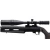 Image 8 : RUGER | Model: 10/22 Target | Caliber: .22 LR