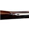 Image 18 : C.G. HAENEL SUHL | Model: Cased Tip Up Stalking Rifle | Caliber: 8.15 X 46R