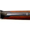 Image 15 : WINCHESTER | Model: 1895 | Caliber: .30 US (.30-40 KRAG)