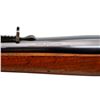 Image 9 : WINCHESTER | Model: 1895 | Caliber: .30 US (.30-40 KRAG)