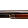 Image 10 : WINCHESTER | Model: 1894 | Caliber: .30 WCF